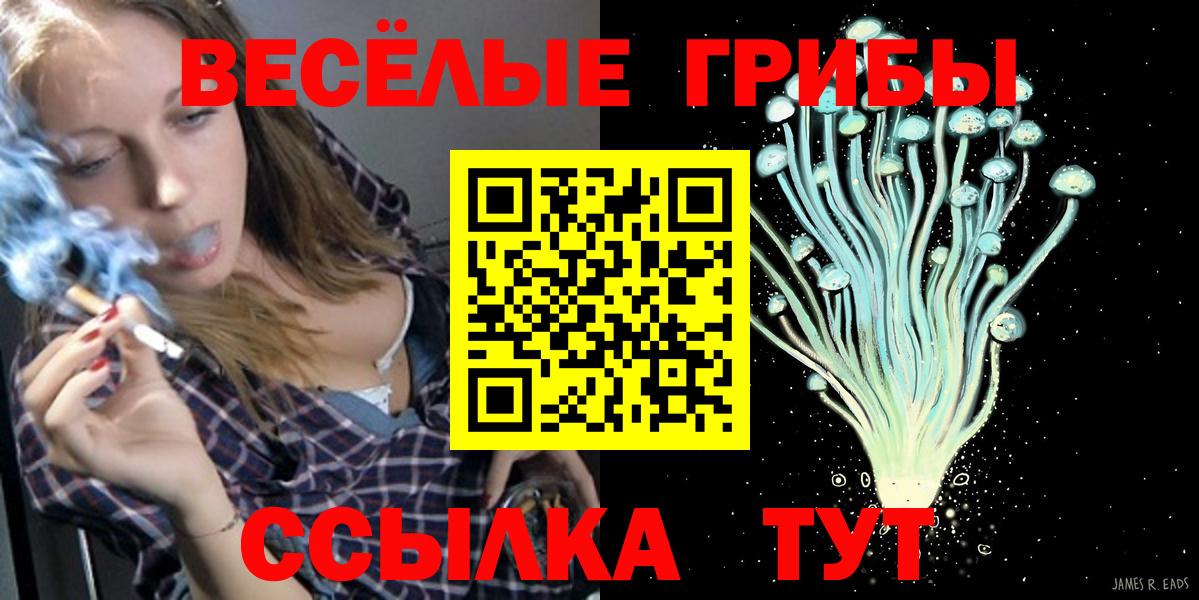 Псилоцибиновые грибы Psilocybe Малоярославец